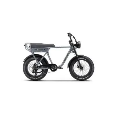 Ape Ryder A10 250 W Siyah 2 Kişilik Elektrikli Bisiklet