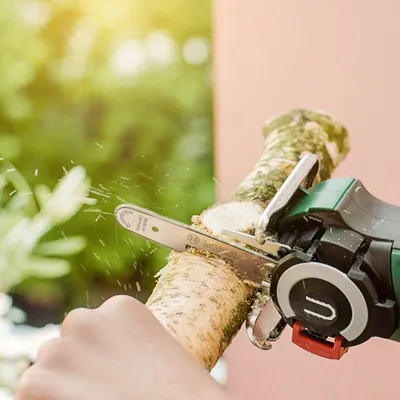 Bosch EasyCut 12 Ağaç Budama Makinesi