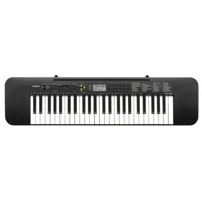 Casio CTK 240 Org