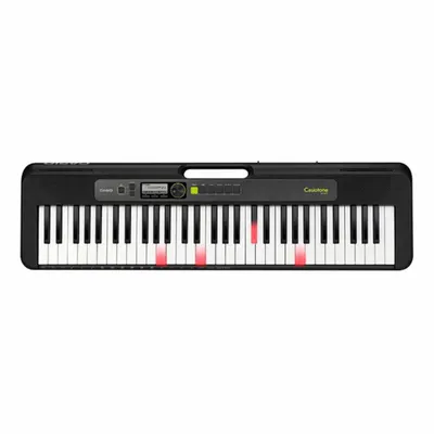 Casio LK-S250 Işıklı 61 Tuşlu Org