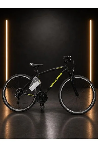 Salcano City Explorer V 19″