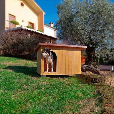 Ferplast Baita 100 Köpek Kulübesi Large 121x78x78.5 Cm