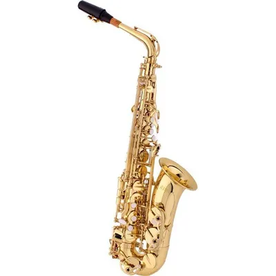 Fox YAS-7108L Alto Öğrenci Model Saksafon