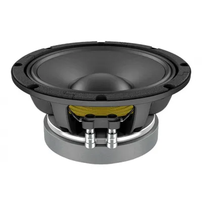Lavoce WAF082.00 Çıplak Hoparlör