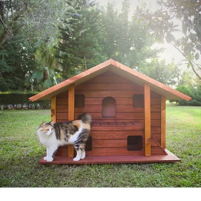 MANDU Ahşap Lüks Kedi Evi