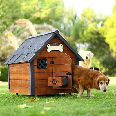 Mandu MND59 Isı Yalıtımlı Ahşap Medium Köpek Kulübesi