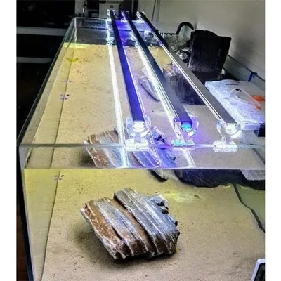 OrionLed 50 cm Karışık Renkli Beyaz Mavi Akvaryum Led Aydınlatma