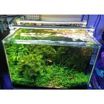 OrionLed Beyaz 90 cm 6500K Akvaryum Led Aydınlatma