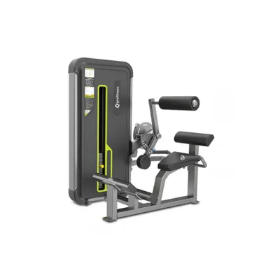 Profitness A3031 Back Extension
