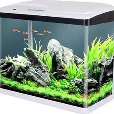 Sobo Komple Akvaryum 60 x 23 x 55 cm Beyaz