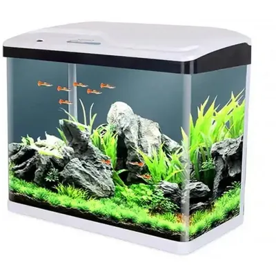 Sobo Komple Akvaryum 30 x 19 x 33,5 cm Mavi