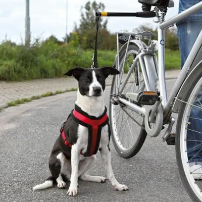 Trixie Bisiklet İçin Köpek Yürütme Aparatı