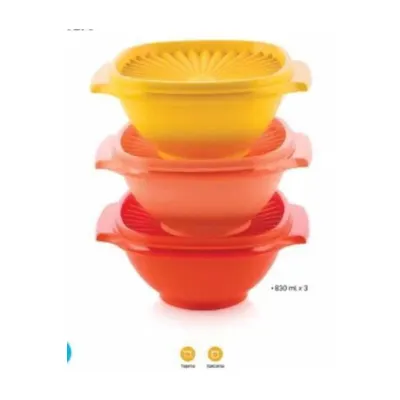 Tupperware 3 Lü Yıldız Kap 830 Ml