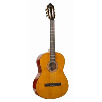 Valencia VC264H Klasik Gitar