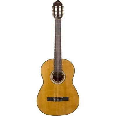 VALENCIA Vc-404 Klasik Gitar