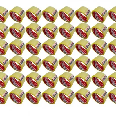 Ve-Ge Vege Aslan 45x40 m 48 Adet Koli Bandı