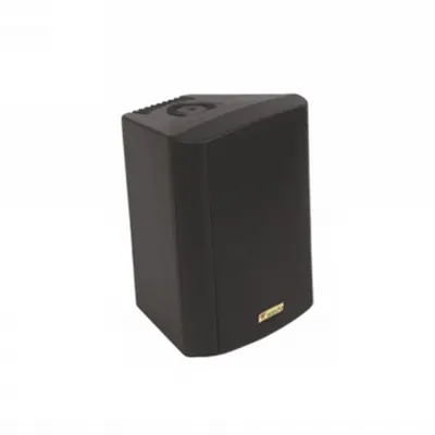Westa WS-5TB Duvar Hoparlörü